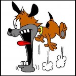 JawDroppingDog