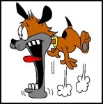 JawDroppingDog