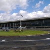 dogtrack